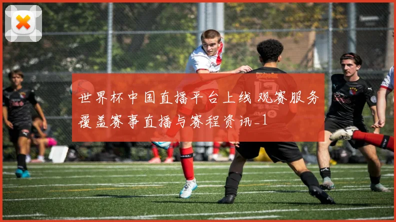 世界杯中国直播平台上线 观赛服务覆盖赛事直播与赛程资讯_1