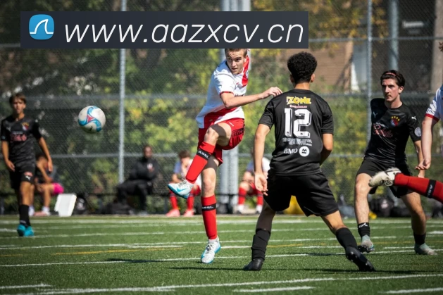 九游网页版·官方站入口 - 九游(中国)平台生态图